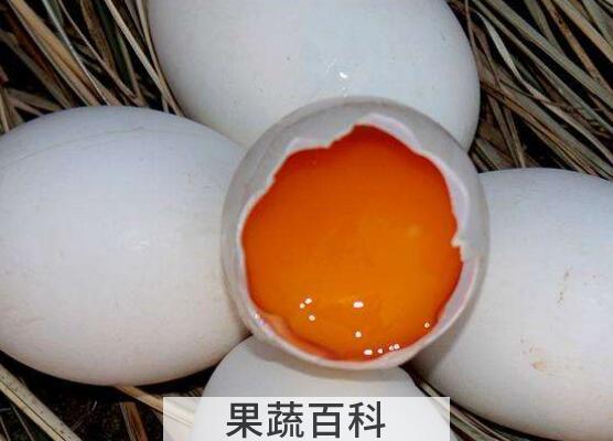 女性长期吃鹅蛋的好处与坏处
