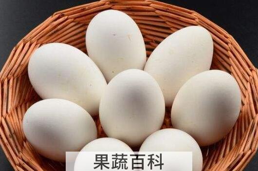 女性长期吃鹅蛋的好处与坏处