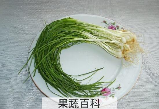 野葱哪些人不能吃 吃野葱的禁忌