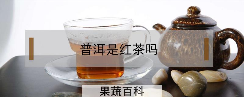 普洱是红茶吗