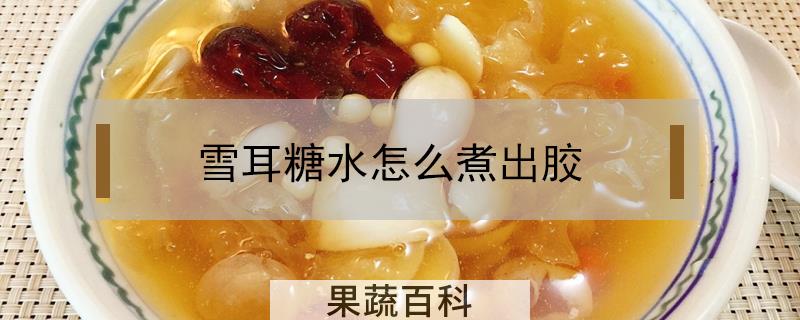 雪耳糖水怎么煮出胶
