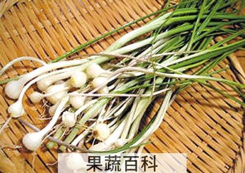 野生小蒜怎么吃 野生小蒜的吃法大全
