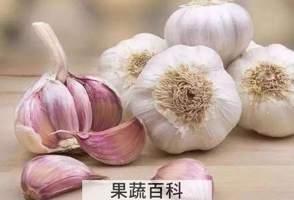 大蒜晚上吃如吃砒霜 吃大蒜的注意事项