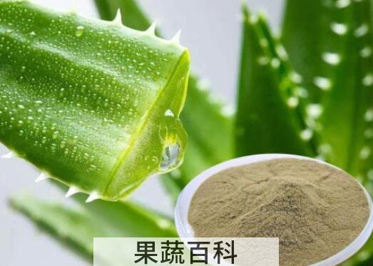 芦荟粉是怎么制作的 芦荟粉的用法