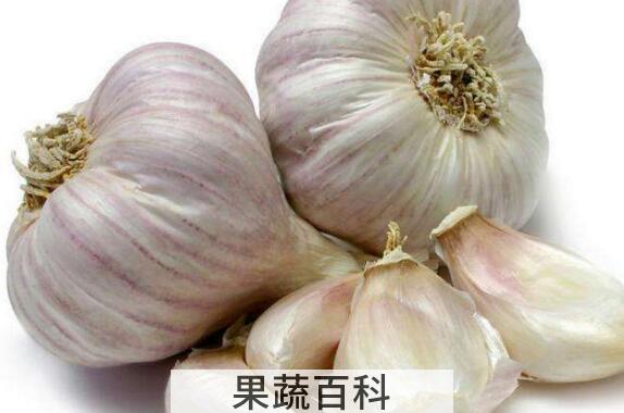 男人为何不能生吃大蒜 男人吃大蒜的好处