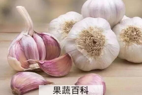 男人为何不能生吃大蒜 男人吃大蒜的好处