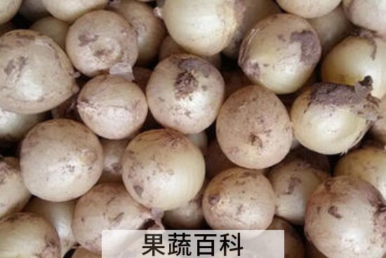 小蒜的功效与作用 小蒜的吃法
