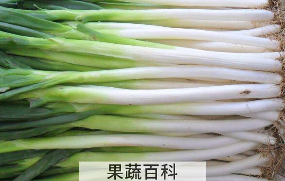 男人生吃大葱的功效
