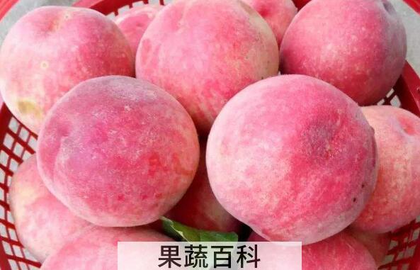 吃熟桃子的功效与作用
