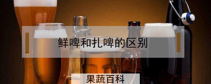 鲜啤和扎啤的区别