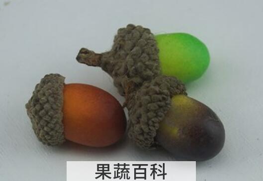 橡实和榛子的区别 吃橡实的好处