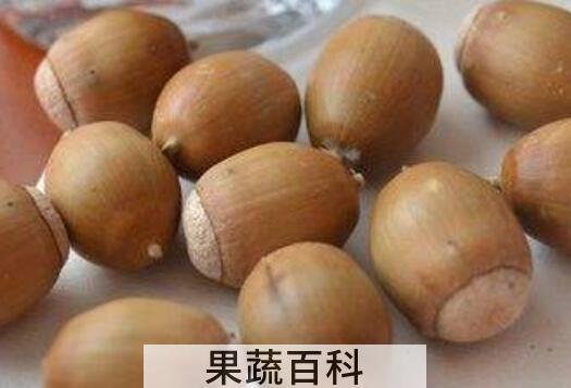 橡实和榛子的区别 吃橡实的好处