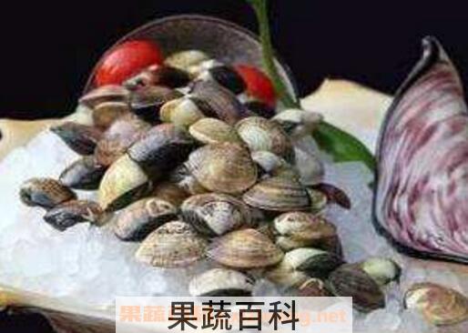 文蛤如何清洗最干净 文蛤的清洗方法