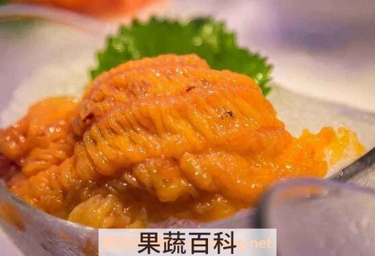 海胆黄是什么 女性吃海胆黄的营养价值