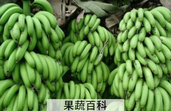 青香蕉怎么快速熟 青香蕉催熟最快方法