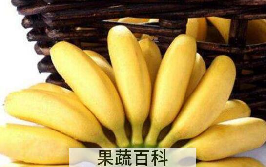 皇帝蕉和香蕉的区别 吃皇帝蕉的好处