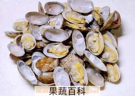花蛤如何去沙 花蛤吐沙最快的方法