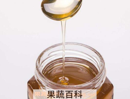 野菊花蜂蜜作用和功效