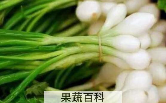 野蒜怎么吃功效最好 野蒜能吃吗