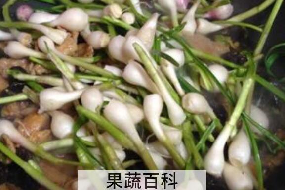 野蒜的副作用有哪些 野蒜的害处