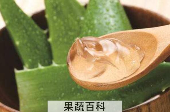 芦荟胶怎么用好 芦荟胶的正确用法