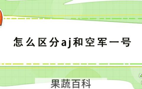 怎么区分aj和空军一号