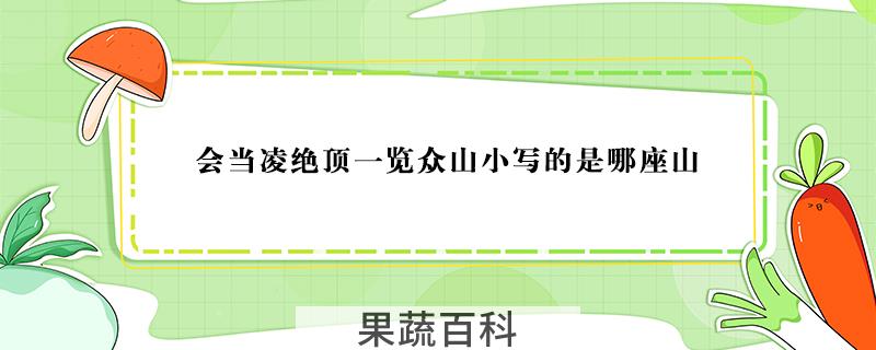 会当凌绝顶一览众山小写的是哪座山
