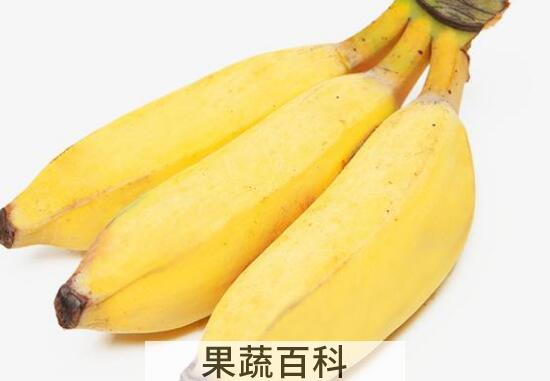 粉蕉的功效与作用禁忌