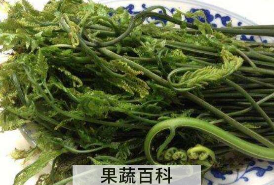 人头蕨怎么食用 人头蕨的食用方法