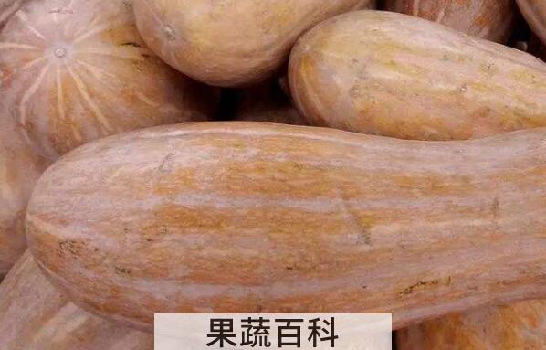 方瓜和南瓜的区别 吃方瓜的好处