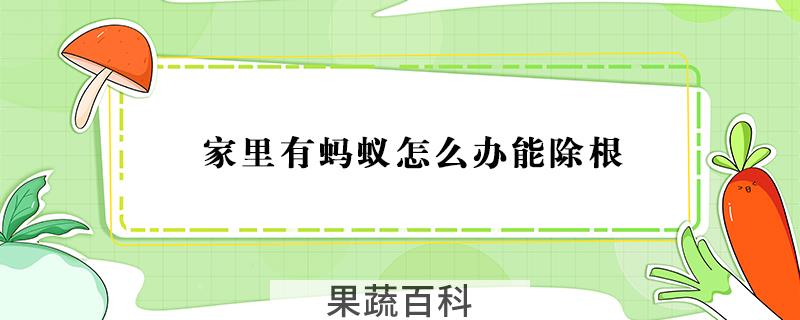 家里有蚂蚁怎么办能除根