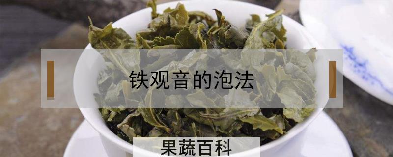 铁观音的泡法