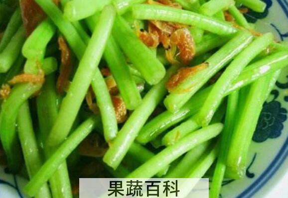 番薯藤的功效与作用