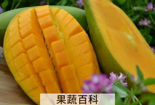 金煌芒与小台芒有什么区别 吃金煌芒的好处