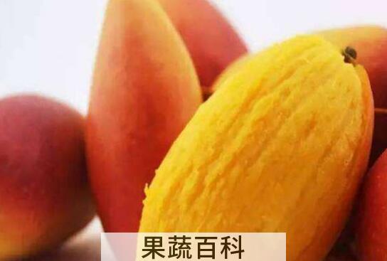金煌芒与小台芒有什么区别 吃金煌芒的好处