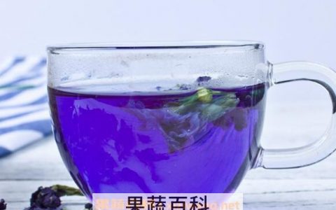 蝶豆花泡茶的功效与作用 蝶豆花泡茶的副作用