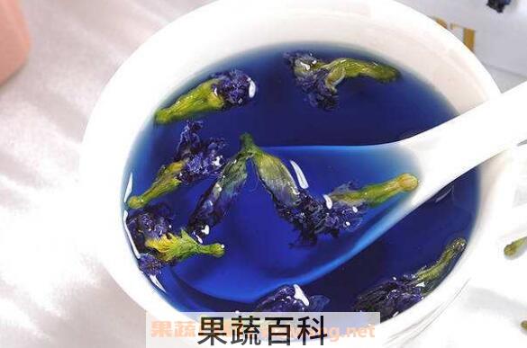 蝶豆花泡茶的功效与作用 蝶豆花泡茶的副作用
