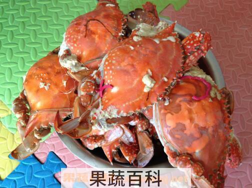 螃蟹不能和什么一起吃 吃螃蟹的禁忌