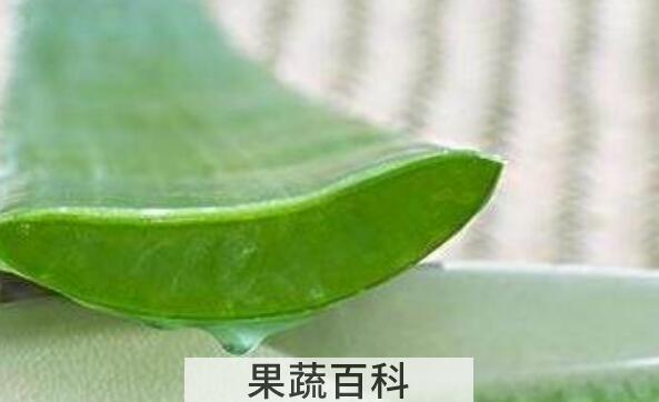 芦荟精华素的功效与作用