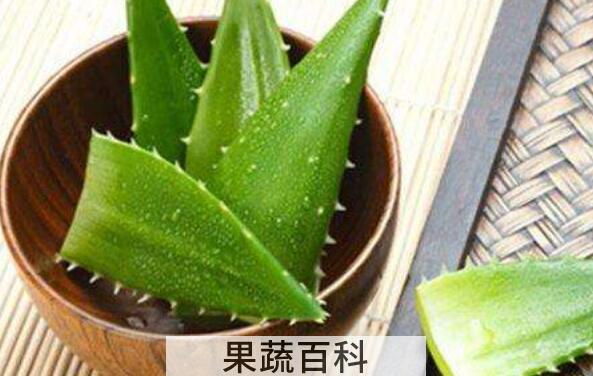 芦荟精华素的功效与作用