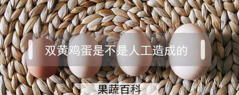 双黄鸡蛋是不是人工造成的