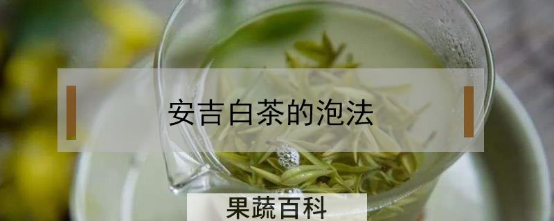 安吉白茶的泡法