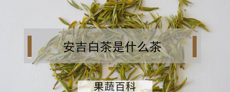 安吉白茶是什么茶