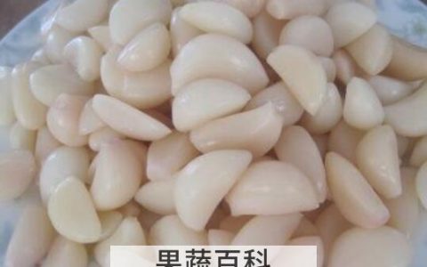 水晶蒜怎么腌 水晶蒜的正确腌制方法
