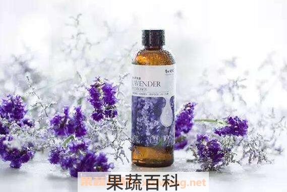 薰衣草纯露的功效与作用