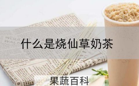 什么是烧仙草奶茶