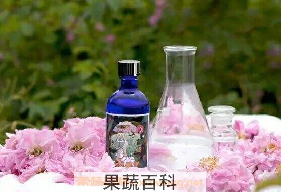 玫瑰纯露的功效与作用及使用方法