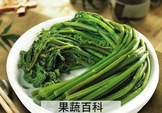 新鲜蕨菜的营养价值 新鲜蕨菜怎么处理才能吃