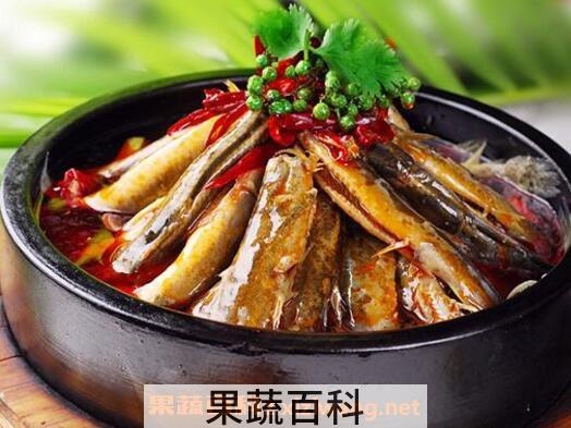泥鳅的药用价值与功效作用