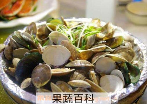 文蛤的功效与作用 文蛤的做法